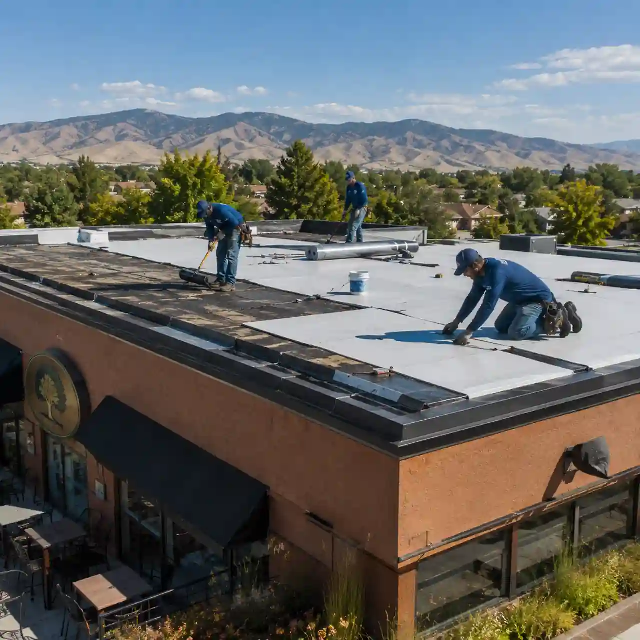 Commercial roof replacement crew installing new membrane on a Boise restaurant building